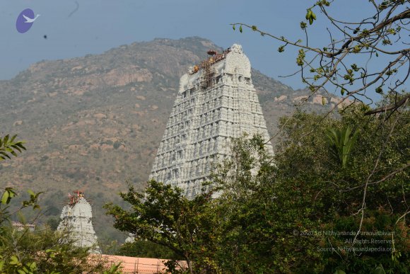 20170206_Photo_1028_DSC_9512_CMP_WM