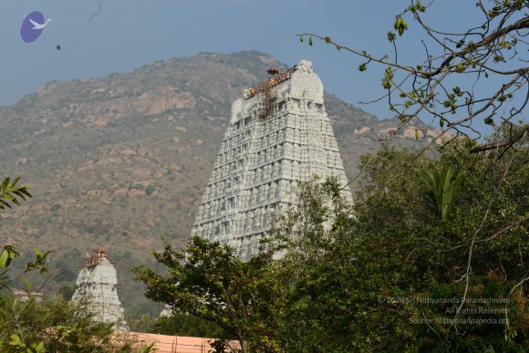 20170206_Photo_1029_DSC_9513_CMP_WM