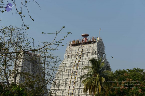 20170206_Photo_1030_DSC_9515_CMP_WM