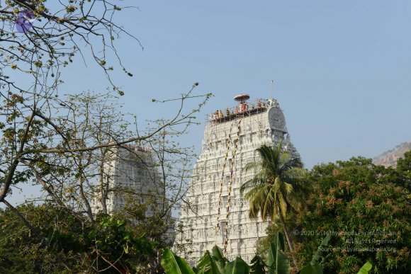 20170206_Photo_1031_DSC_9519_CMP_WM