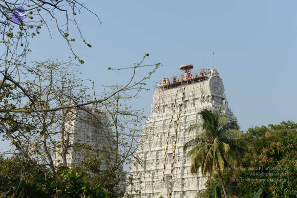 20170206_Photo_1032_DSC_9522_CMP_WM