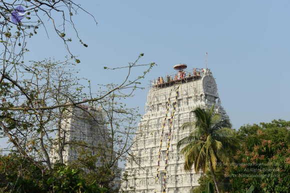 20170206_Photo_1033_DSC_9523_CMP_WM