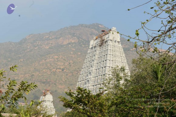 20170206_Photo_1034_DSC_9526_CMP_WM