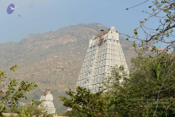 20170206_Photo_1035_DSC_9527_CMP_WM