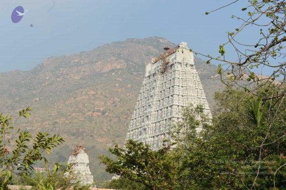 20170206_Photo_1037_DSC_9531_CMP_WM