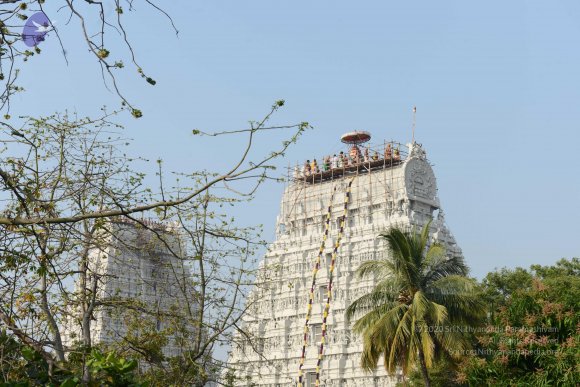 20170206_Photo_1038_DSC_9535_CMP_WM