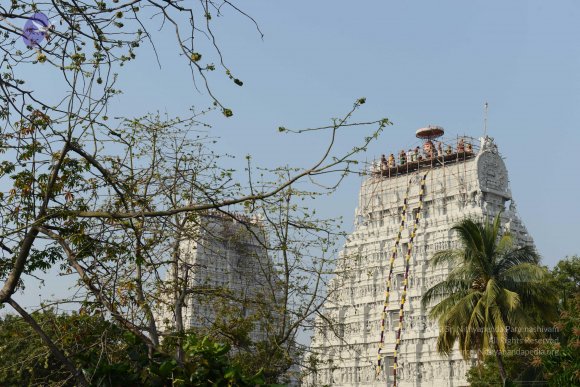 20170206_Photo_1039_DSC_9536_CMP_WM