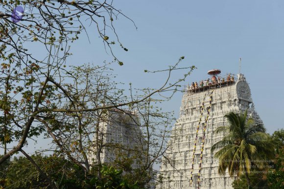 20170206_Photo_1040_DSC_9539_CMP_WM