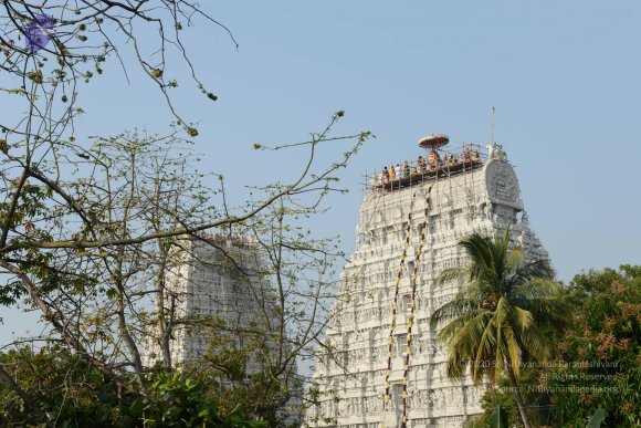 20170206_Photo_1041_DSC_9540_CMP_WM