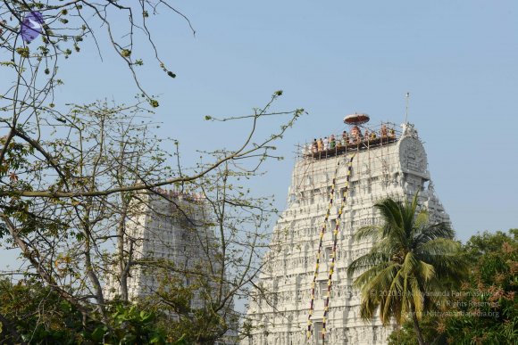 20170206_Photo_1042_DSC_9541_CMP_WM