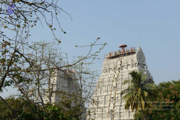 20170206_Photo_1043_DSC_9543_CMP_WM