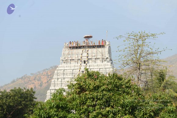 20170206_Photo_1044_DSC_9551_CMP_WM