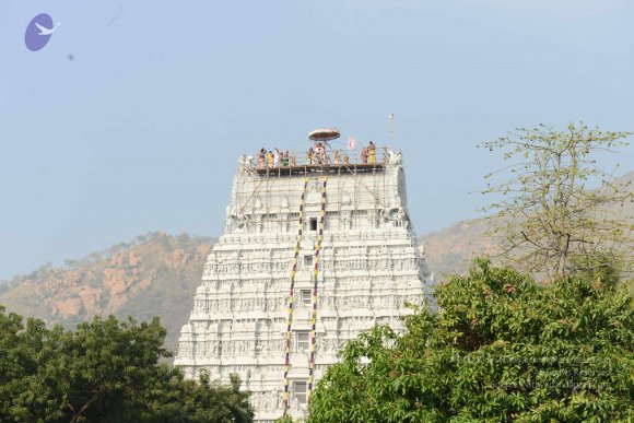 20170206_Photo_1045_DSC_9554_CMP_WM