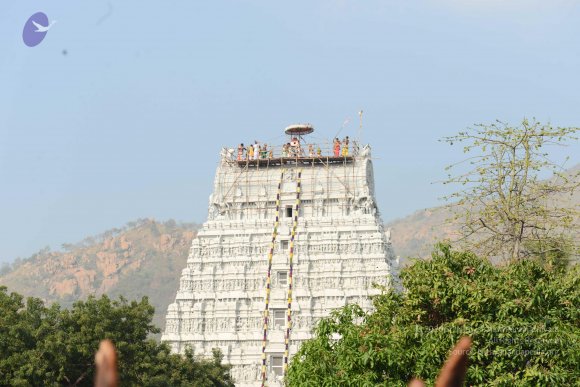 20170206_Photo_1047_DSC_9556_CMP_WM