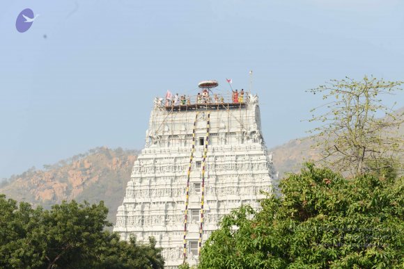 20170206_Photo_1049_DSC_9560_CMP_WM