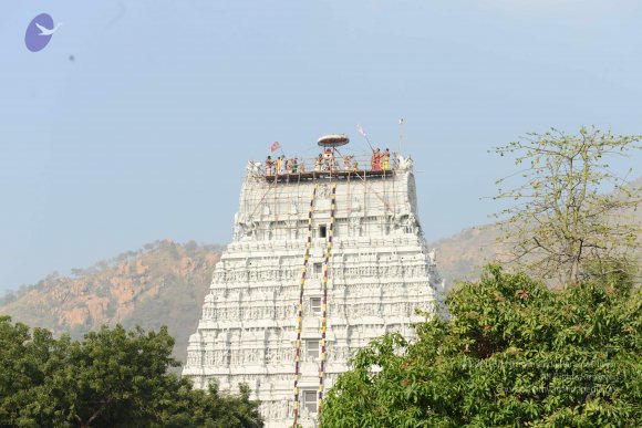 20170206_Photo_1051_DSC_9562_CMP_WM