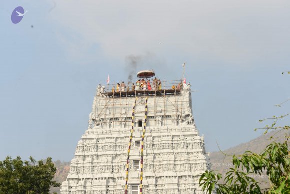 20170206_Photo_1055_DSC_9575_CMP_WM