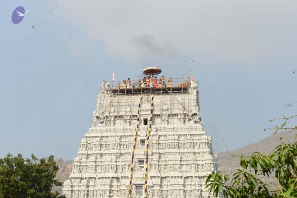 20170206_Photo_1056_DSC_9576_CMP_WM