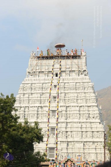 20170206_Photo_1057_DSC_9580_CMP_WM