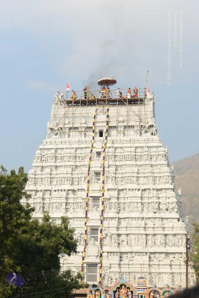 20170206_Photo_1058_DSC_9581_CMP_WM