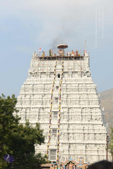 20170206_Photo_1059_DSC_9583_CMP_WM