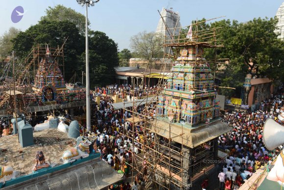 20170206_Photo_1065_DSC_9598_CMP_WM