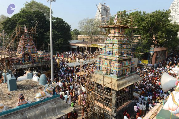 20170206_Photo_1068_DSC_9601_CMP_WM