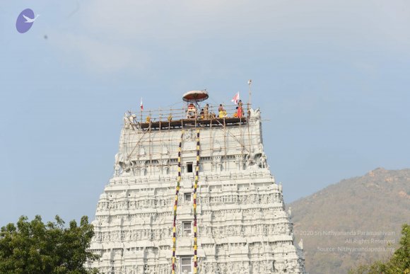 20170206_Photo_1072_DSC_9606_CMP_WM