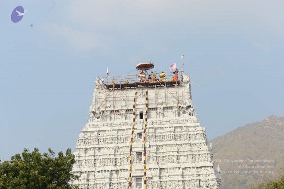 20170206_Photo_1073_DSC_9607_CMP_WM