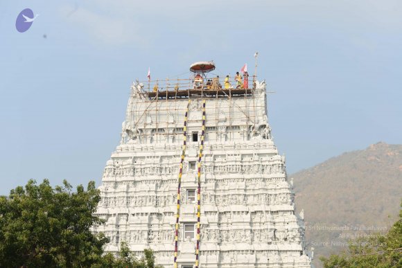 20170206_Photo_1074_DSC_9609_CMP_WM