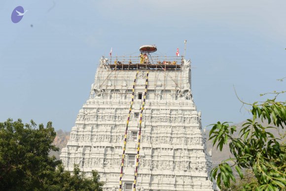 20170206_Photo_1075_DSC_9610_CMP_WM