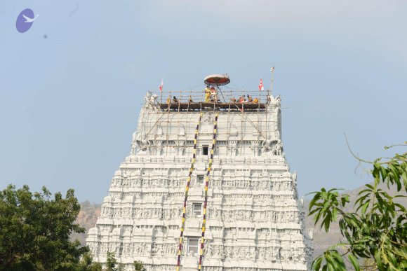 20170206_Photo_1076_DSC_9612_CMP_WM