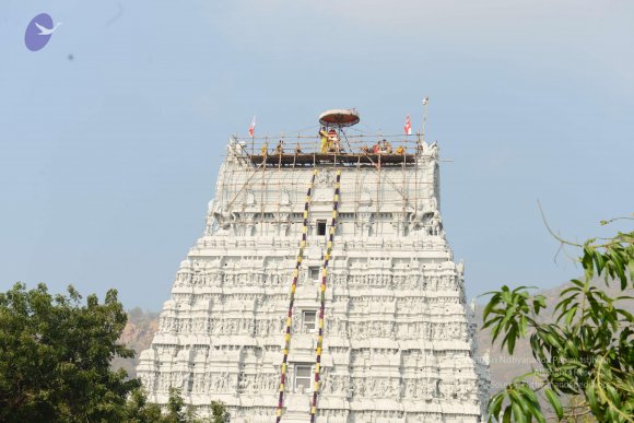 20170206_Photo_1077_DSC_9613_CMP_WM