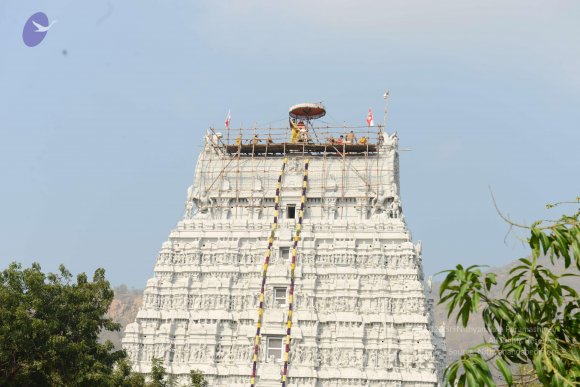 20170206_Photo_1078_DSC_9614_CMP_WM