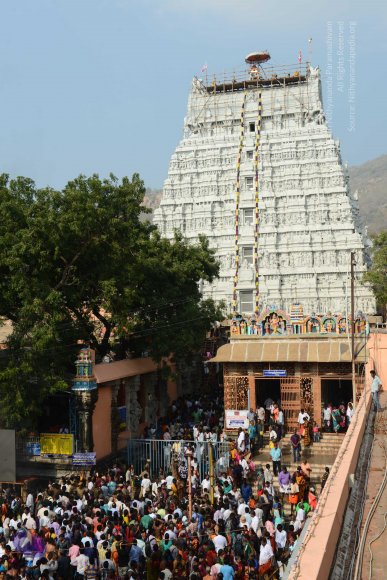 20170206_Photo_1079_DSC_9619_CMP_WM