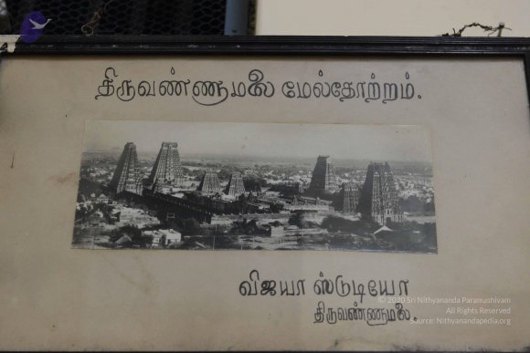 20170206_Photo_1080_DSC_9769_CMP_WM