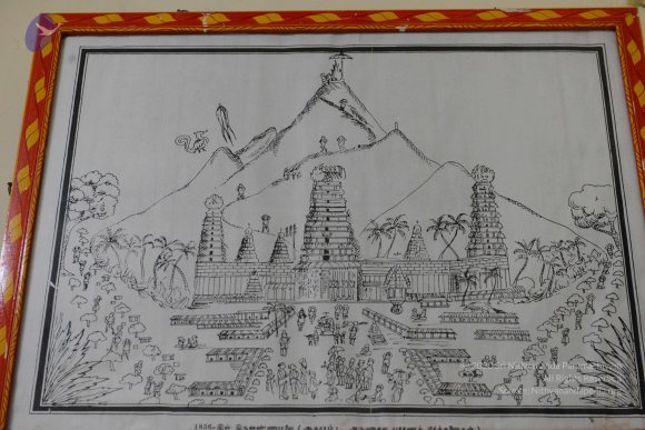 20170206_Photo_1082_DSC_9772_CMP_WM