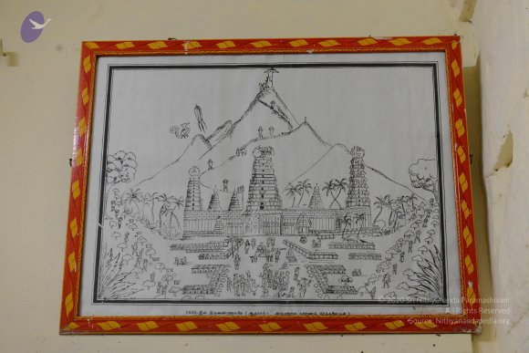 20170206_Photo_1084_DSC_9775_CMP_WM