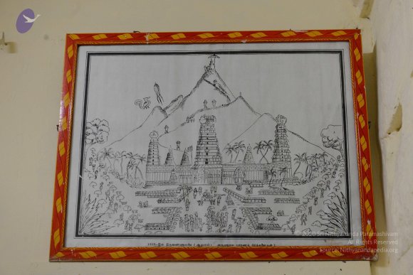 20170206_Photo_1085_DSC_9776_CMP_WM