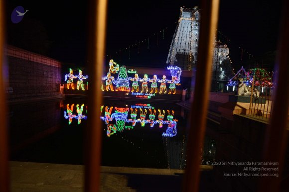 20170206_Photo_1087_DSC_9909_CMP_WM