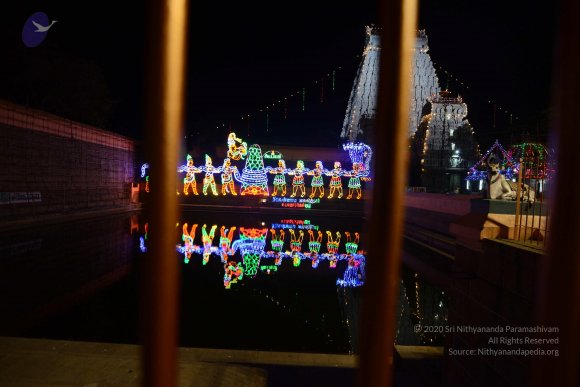 20170206_Photo_1088_DSC_9910_CMP_WM