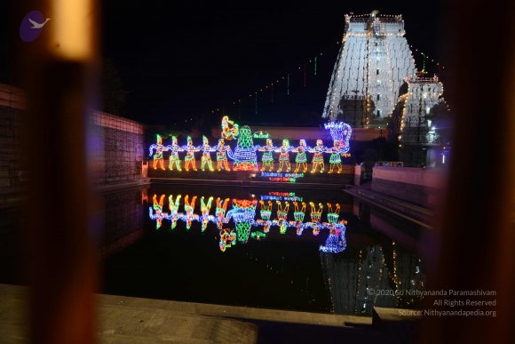 20170206_Photo_1089_DSC_9912_CMP_WM