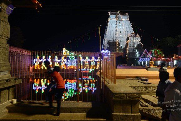 20170206_Photo_1091_DSC_9915_CMP_WM