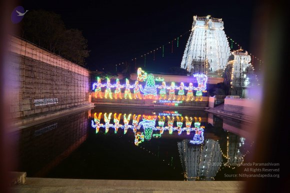 20170206_Photo_1093_DSC_9920_CMP_WM