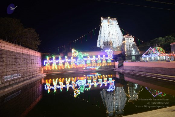 20170206_Photo_1095_DSC_9924_CMP_WM