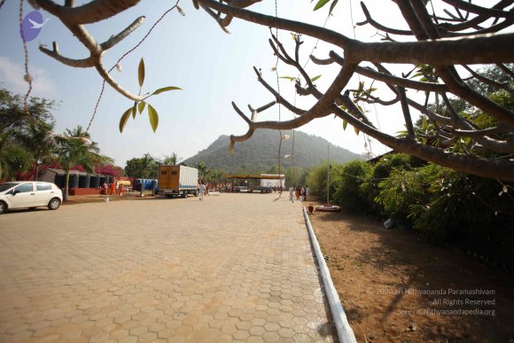 20170206_Photo_1107_IMG_9088_CMP_WM