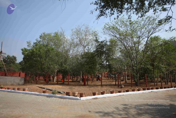 20170206_Photo_1117_IMG_9108_CMP_WM