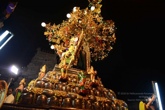 20170207_Photo_1000_DSC_0383_CMP_WM