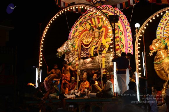 20170207_Photo_1008_DSC_0574_CMP_WM