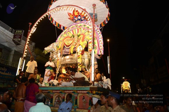 20170207_Photo_1011_DSC_0230_CMP_WM